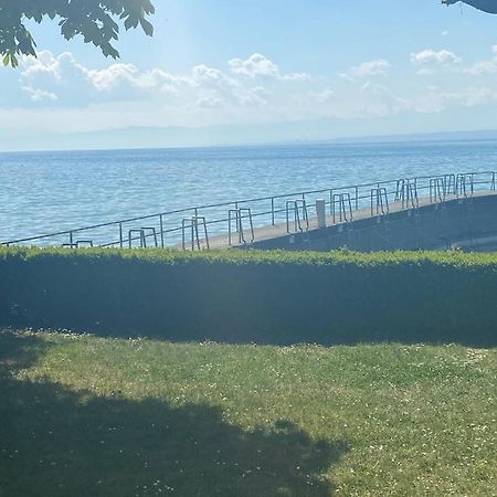 Hagnauer-Ferienwohnung Im Seegarten Zewnętrze zdjęcie